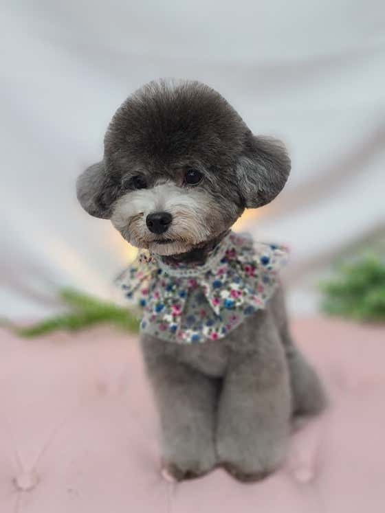 독살롱다듬 · 네이버 지도·플레이스 5