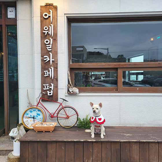 어웨일카페펍 · 네이버 지도·플레이스 5