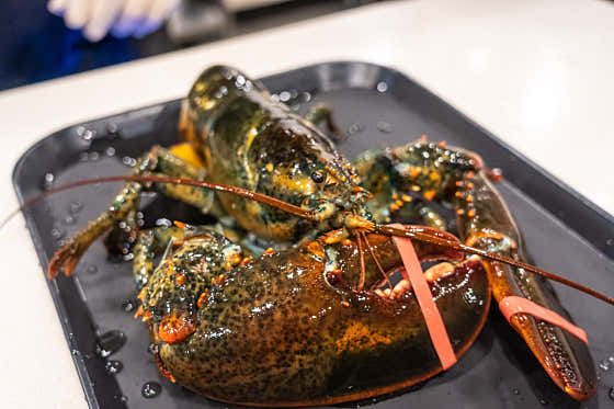 랍스터(활) 650g 메뉴 사진(네이버)