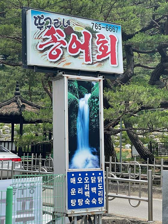 용수골뚜구리네