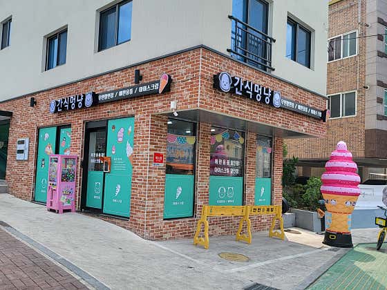 간식멍냥
