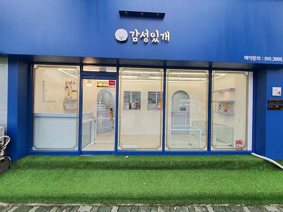 감성있개