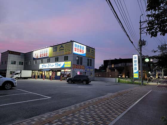 강아지 고양이와함께 원주점