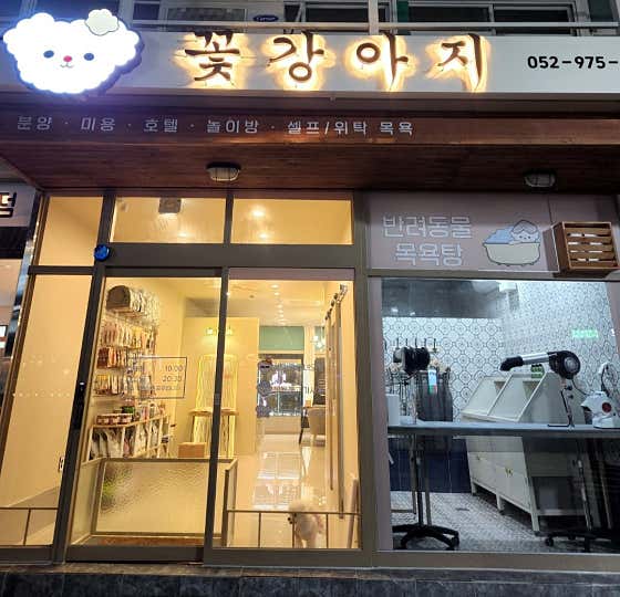 꽃강아지 · 네이버 지도·플레이스 4