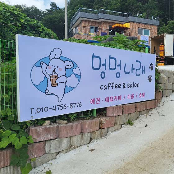 멍멍나래 대표이미지