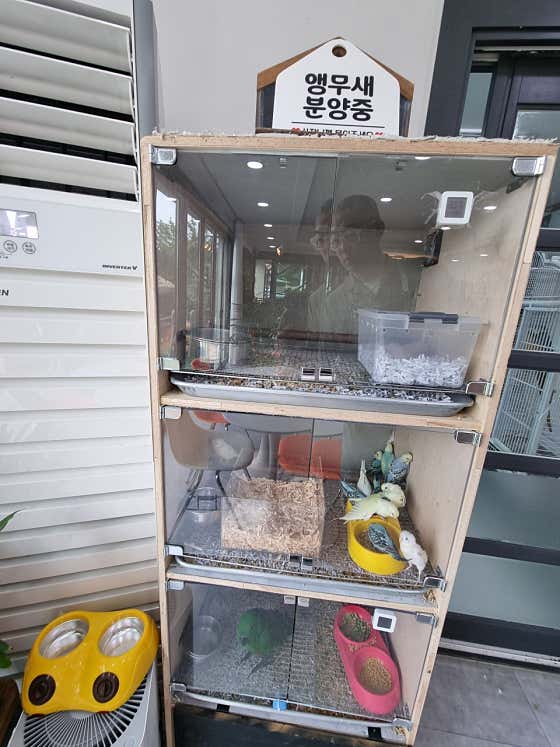 앵무세상 · 네이버 지도·플레이스 4