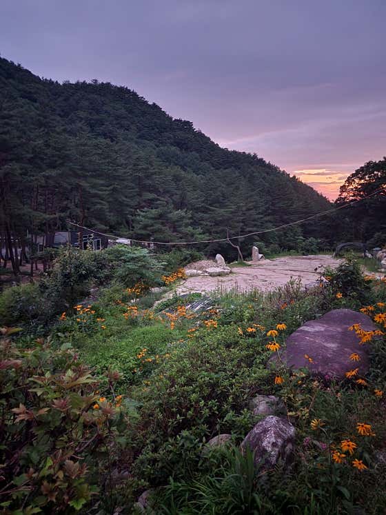 솔밭펜션 대표이미지