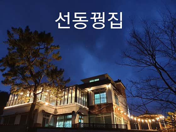 선동꿩집