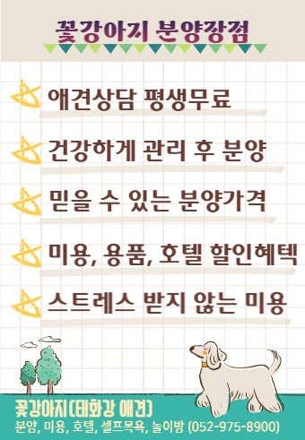 꽃강아지 · 네이버 지도·플레이스 5
