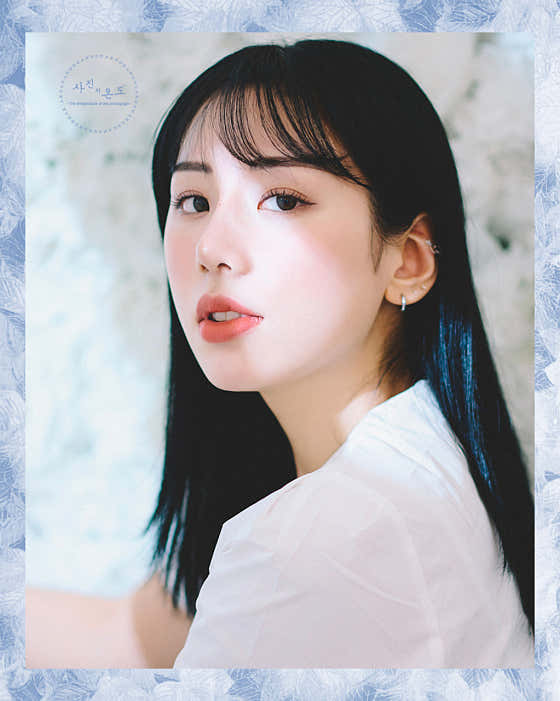 사진의 온도