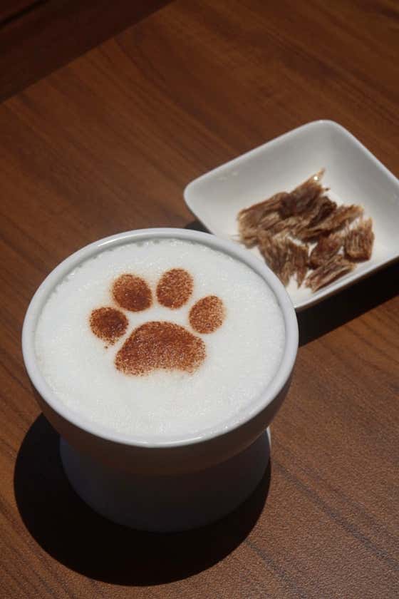 멍푸치노 메뉴 사진(네이버)