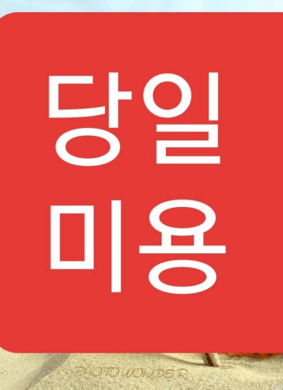 빠박이애견미용