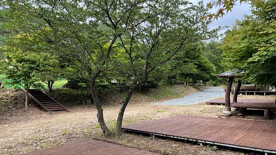 덕룡산캠핑장 대표이미지