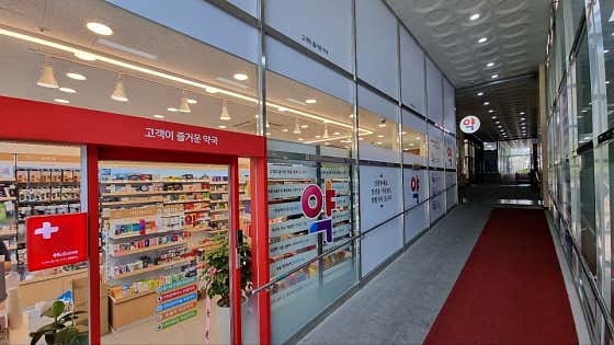 알밤약국