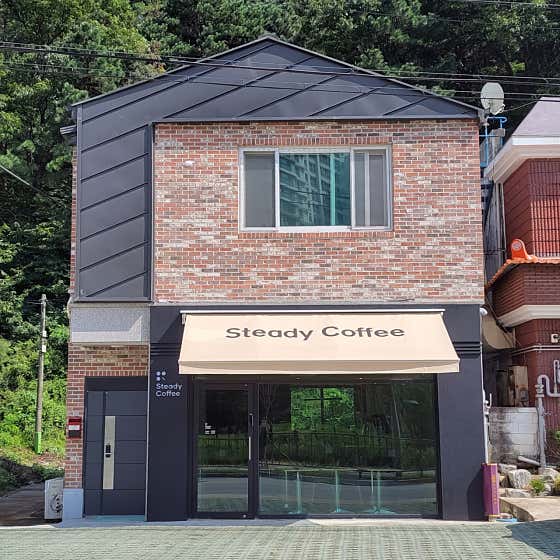 스테디커피 세종점
