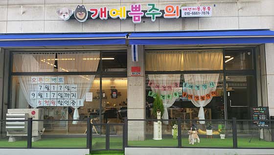 개예쁨주의 대표이미지