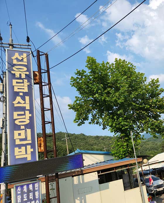선유담식당 · 네이버 지도·플레이스 7