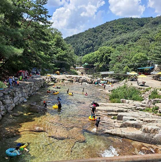 선유담식당 · 네이버 지도·플레이스 8
