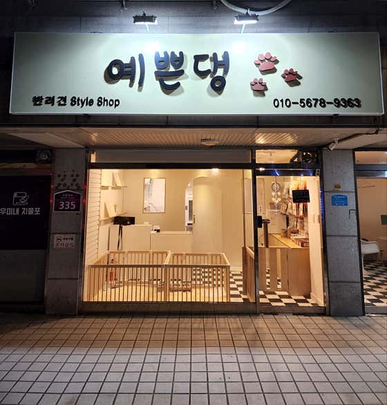 예쁜댕
