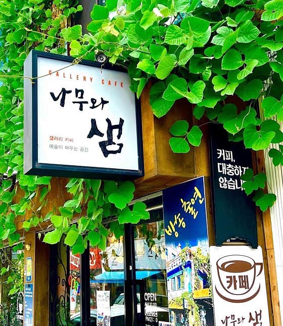 갤러리카페 나무와 샘 · 네이버 지도·플레이스 2