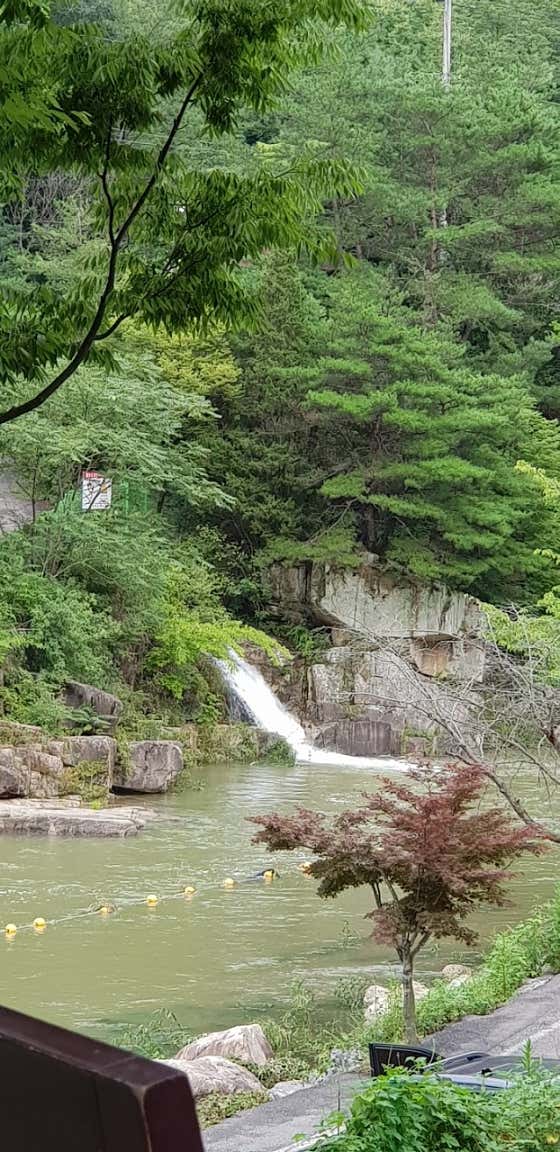 아리아카페 · 네이버 지도·플레이스 2