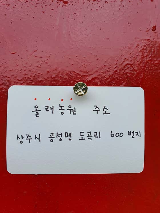 올래농원 · 네이버 지도·플레이스 10