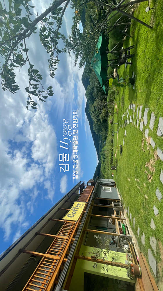 감물휘게
