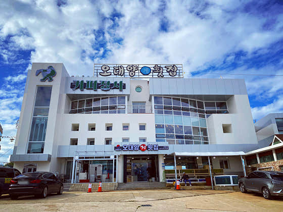 오대양횟집