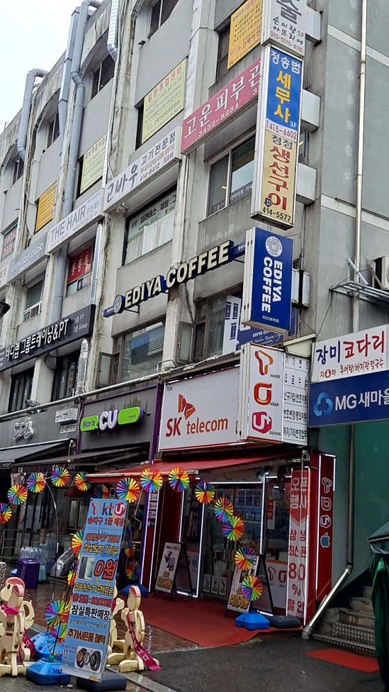 고바우 사진 3