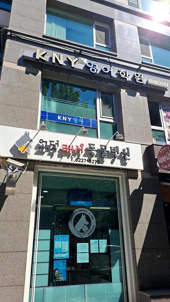 고덕24시 동물병원 · 네이버 지도·플레이스 4