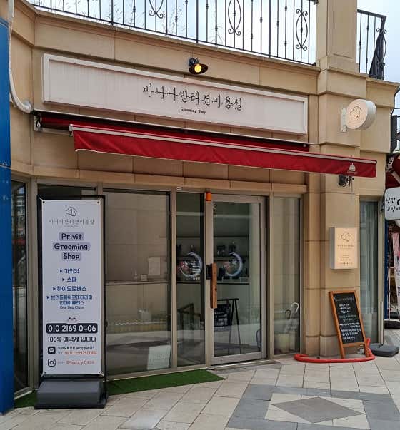 바나나반려견미용실 · 네이버 지도·플레이스 6