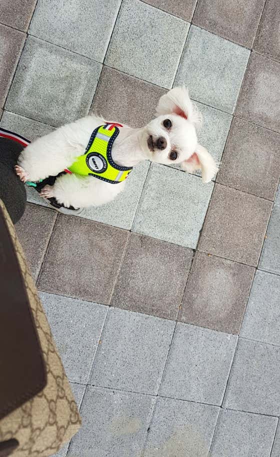 늘,예쁘개 · 네이버 지도·플레이스 3