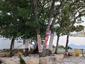 위고고 남해점 사진
