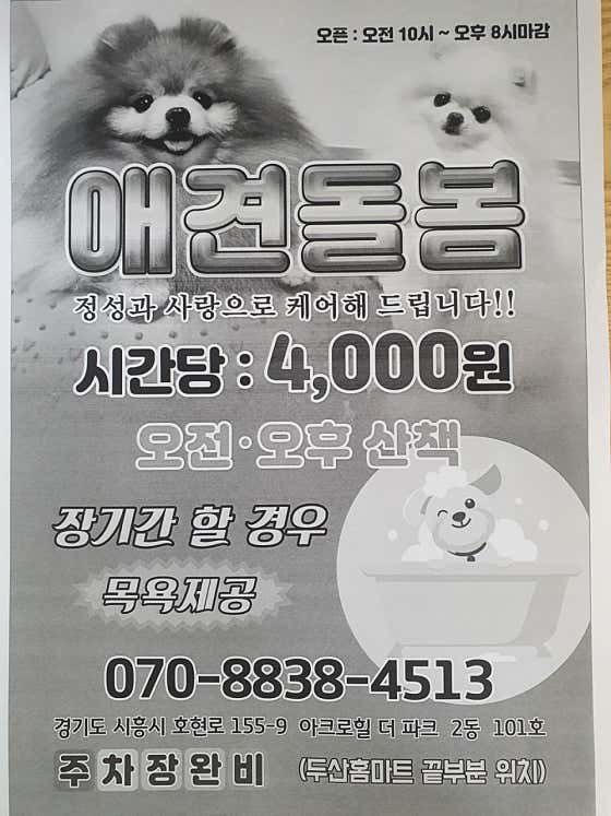 댕이냥이살롱 · 네이버 지도·플레이스 5