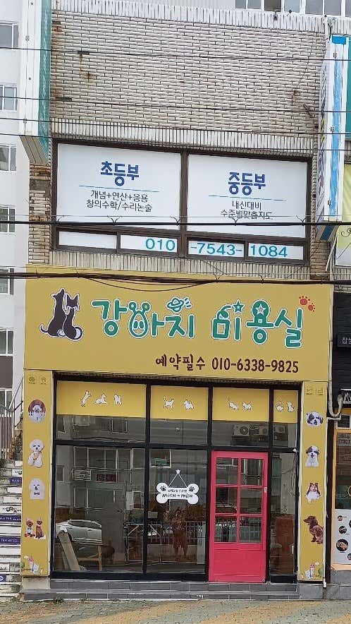강아지미용실