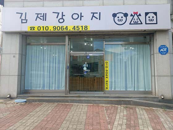 김제강아지 · 네이버 지도·플레이스 2