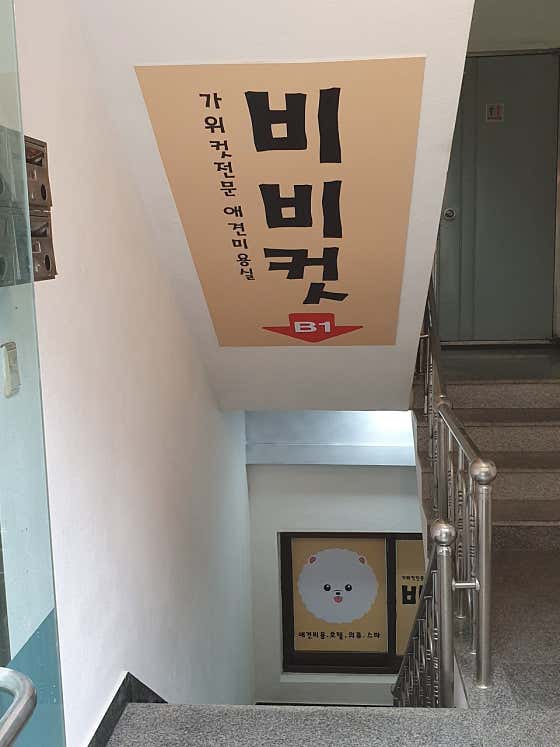 비비컷 · 네이버 지도·플레이스 3