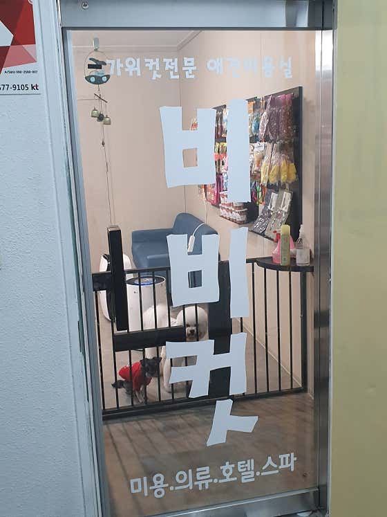 비비컷 · 네이버 지도·플레이스 4