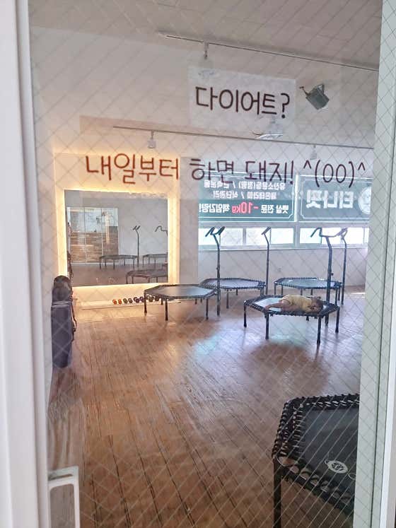 티나핏