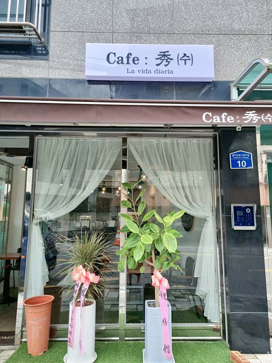 카페수 · 네이버 지도·플레이스 4