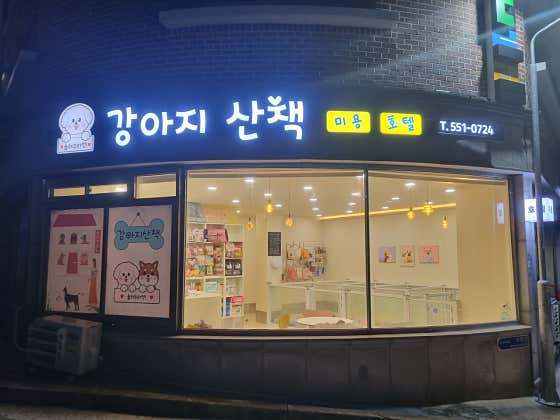 강아지산책