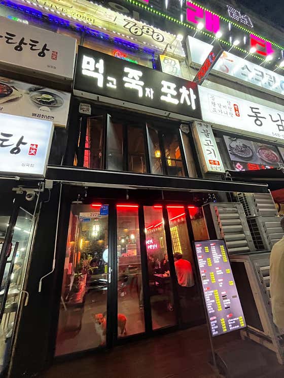 먹고죽자포차