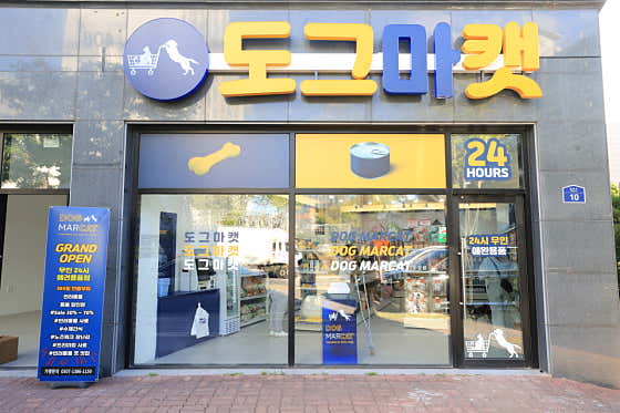 도그마캣 청주성화점