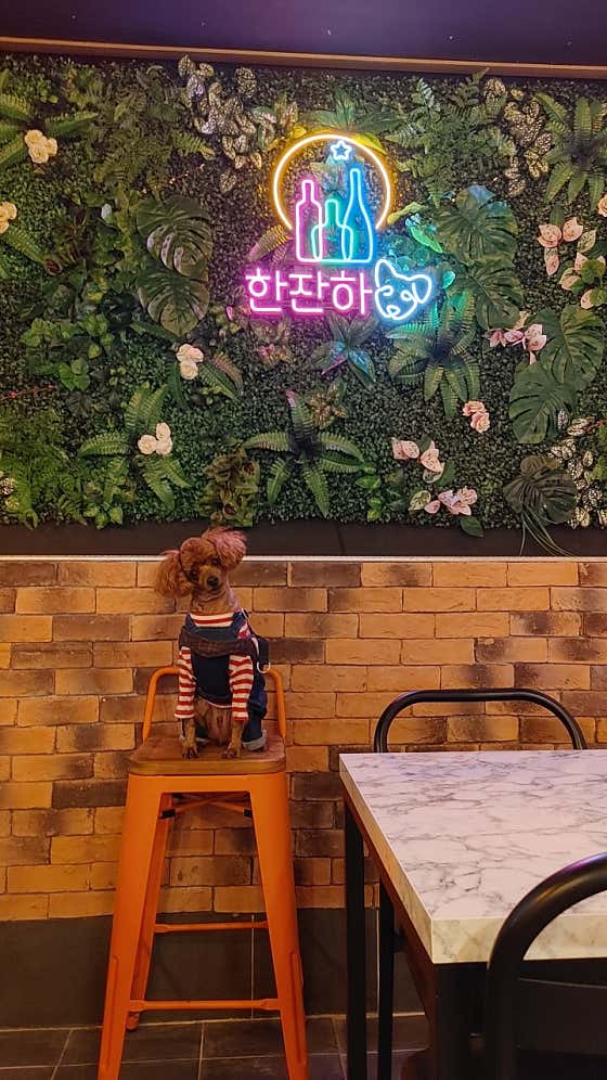 한잔하개 · 네이버 지도·플레이스 9