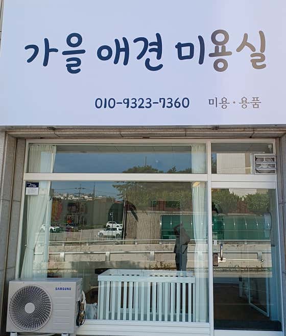 가을애견미용실 대표이미지