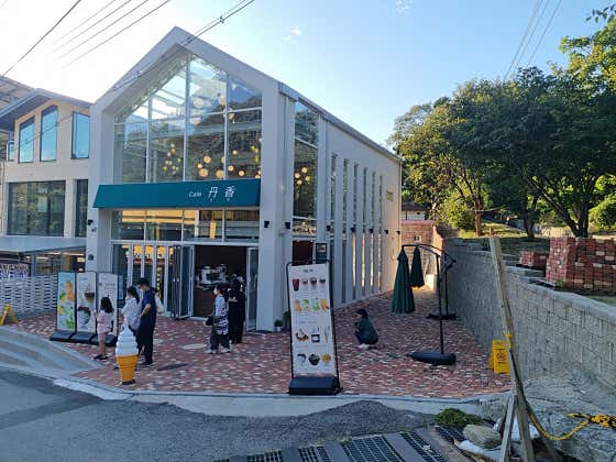 단향