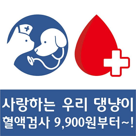 동편동물혈액검진센터 대표이미지