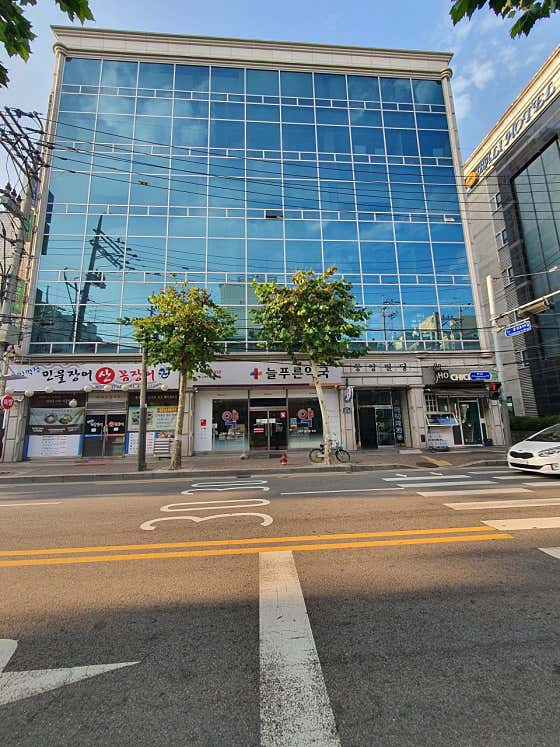 늘푸른약국 · 네이버 지도·플레이스 2