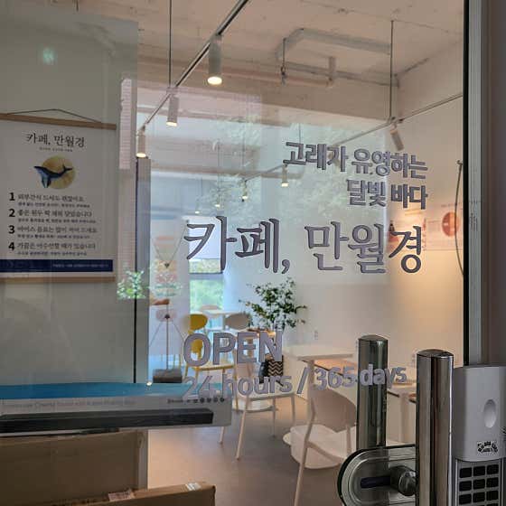 카페만월경 분당미금점