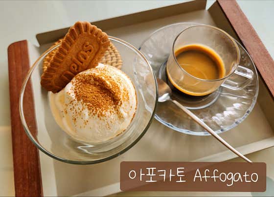 셀라돈